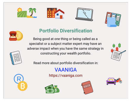 Portfolio Diversification Vaaniga