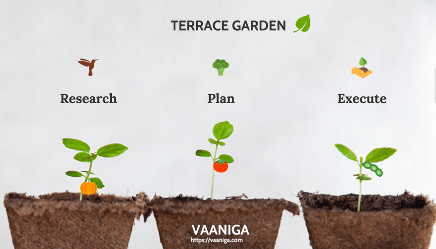 Terrace Gardening Small Business Idea, How To Start Terrace Gardening Business